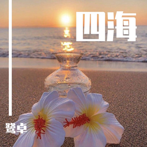 中国美女牲交视频
